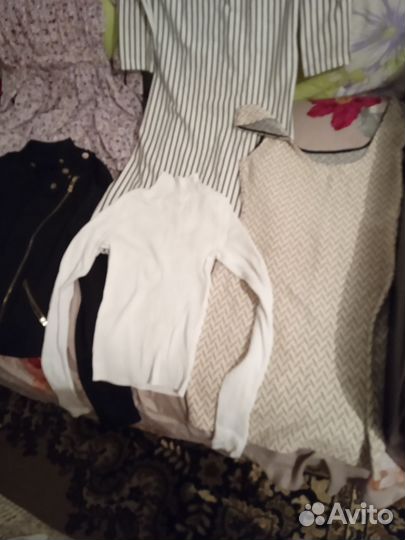 Женская одежда