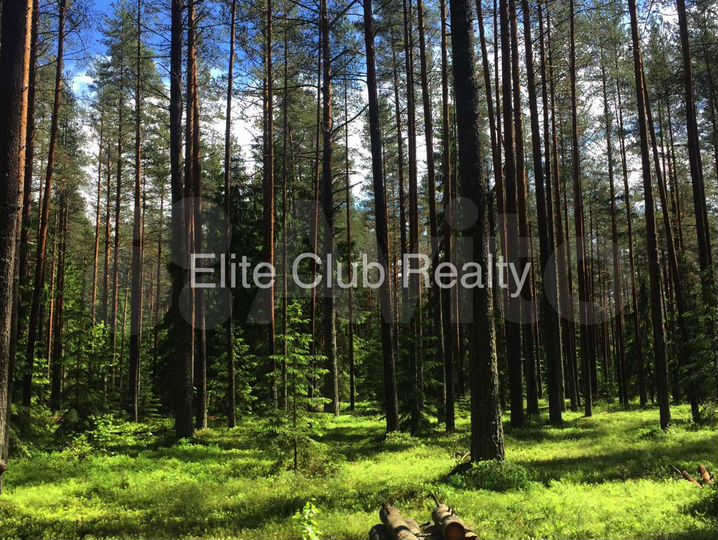 Участок 56,9 сот. (ИЖС)