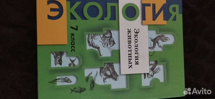 Биология 6класс