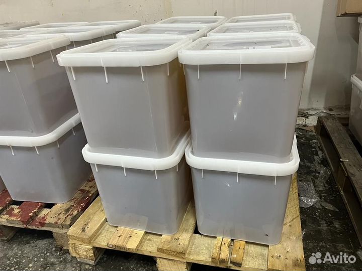 Мед Горный опт