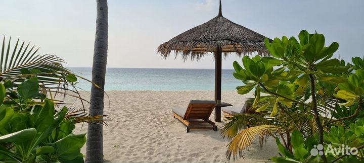 Отдых в Египте 5* и vip