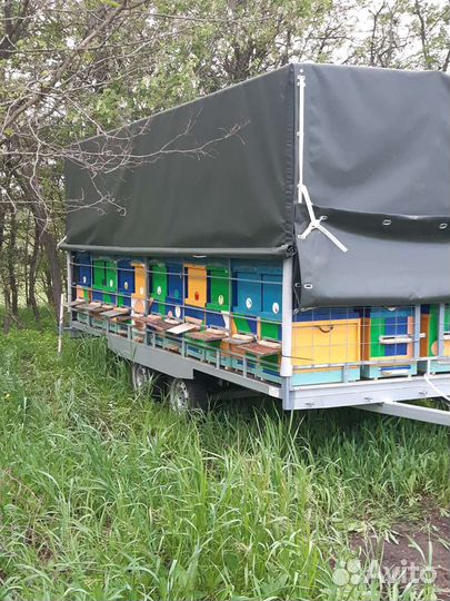 Пчелоприцеп