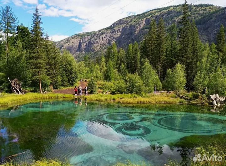 Тур в Горный Алтай 6 нч