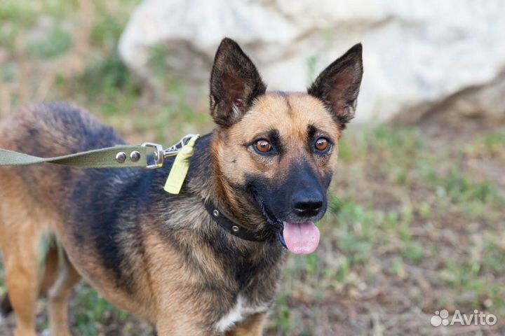 Помогите найти