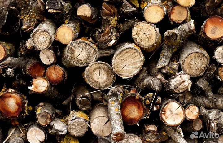 Дрова для гриля