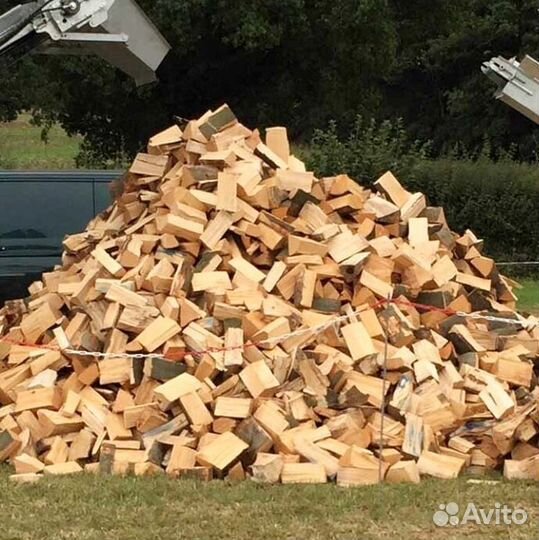 Дрова в Белоостров