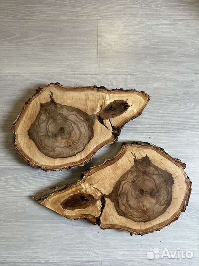 Поперечные спилы березы