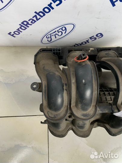 Коллектор впускной Ford Focus 3 CB8 1.6 (pnda)