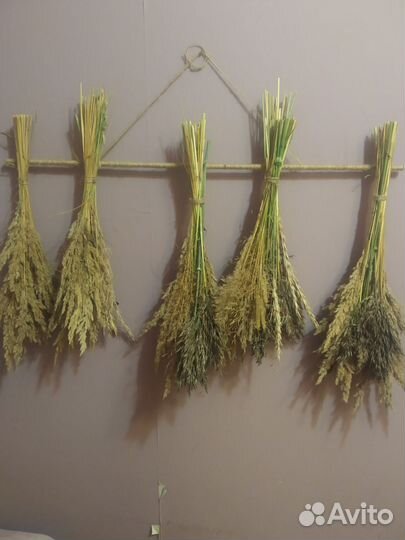 Букеты сухостой из растений с болота