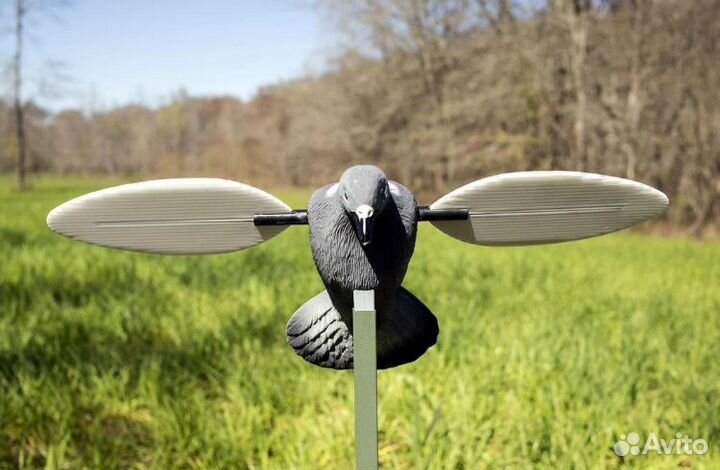 Механическое чучело голубя вяхиря mojo