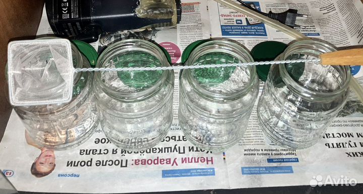 Аквариумные рыбки гуппи и растения бесплатно