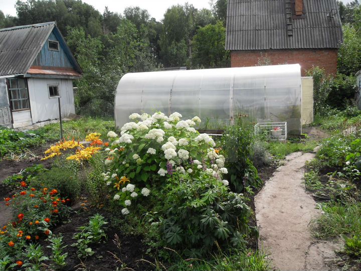 Дача 50 м² на участке 6 сот.