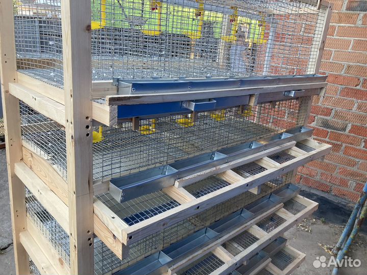 Клетка для перепелок