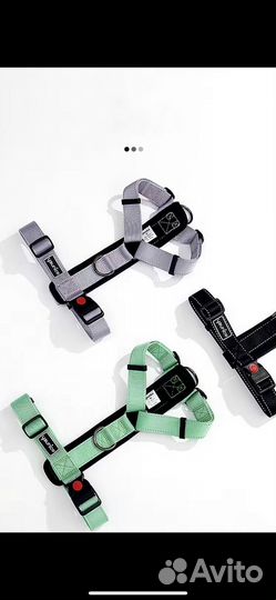 Шлейка+поводок черная S