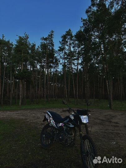 Зид 250