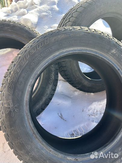 Cordiant Polar 2 205/55 R16