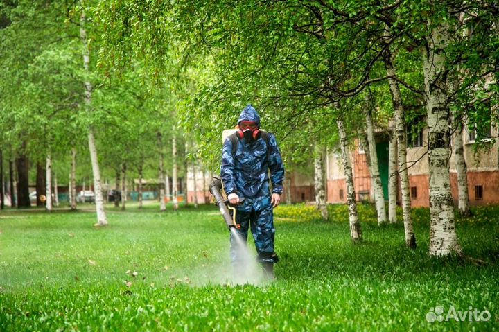 Уничтожение клопов тараканов грызунов блох