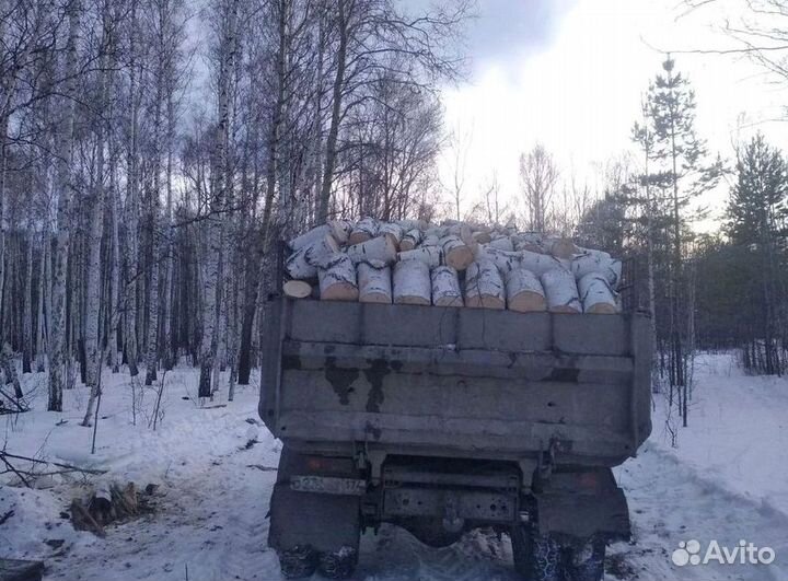 Дрова березовые чурбаками