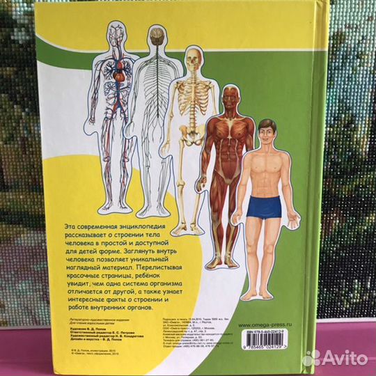 Книга энциклопедия Тело человека