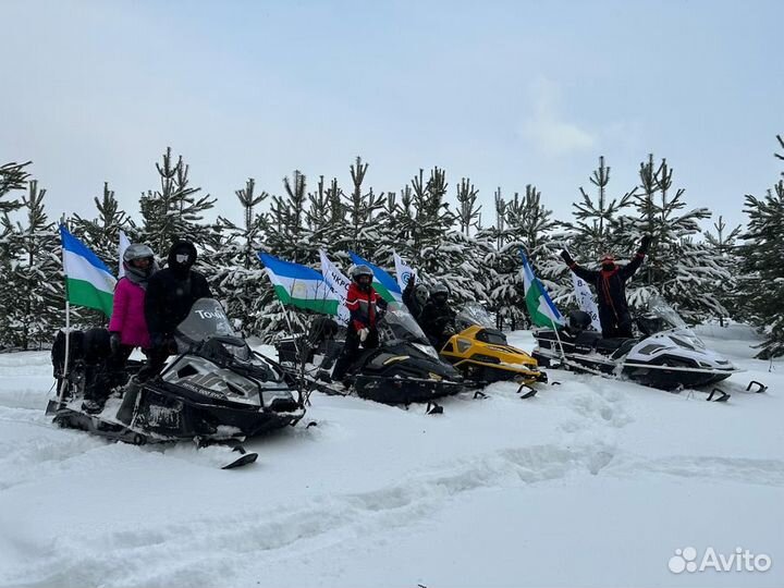 Подарочный сертификат на прогулку на снегоходе