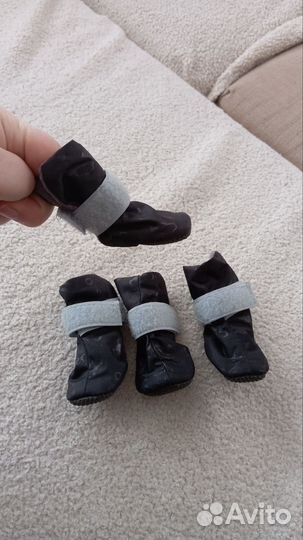 Обувь для собак мелких пород