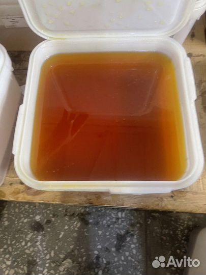 Цветочный свежий натуральный мёд 2023 г. опт