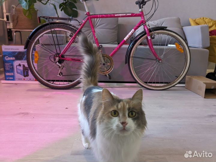 Велосипед old mtb 26