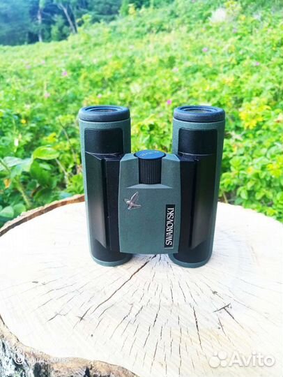 Swarovski pocket 10X25