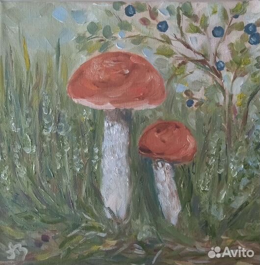 Картина лес грибы Подосиновики масло 20х20