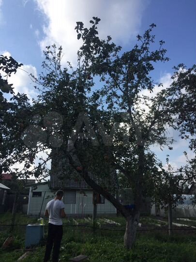 Участок 11 сот. (СНТ, ДНП)