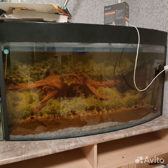 Аквариум