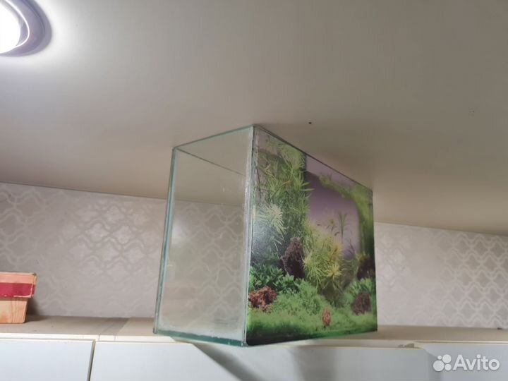Аквариум