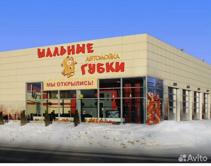 Требуются авто мойщики