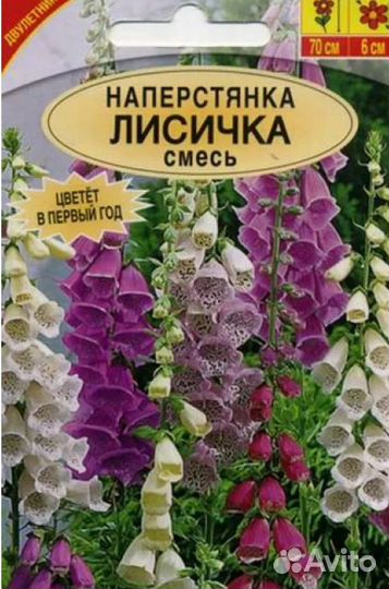 Цветы однолетние,цветущие всё лето