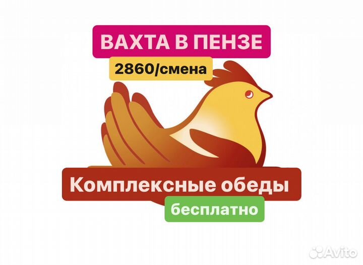 Вахта В пензе