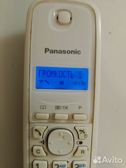 Panasonic