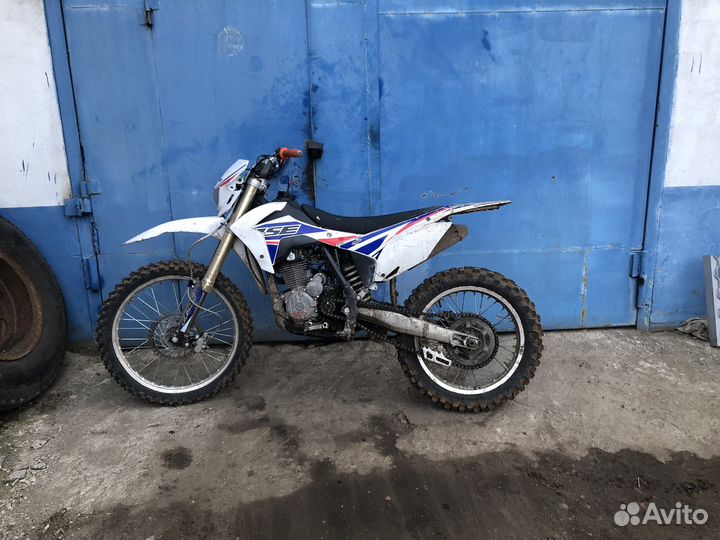 BSE 250