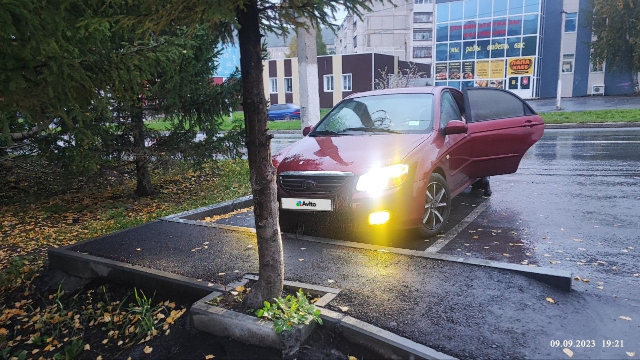 Kia Cerato: фото владельца