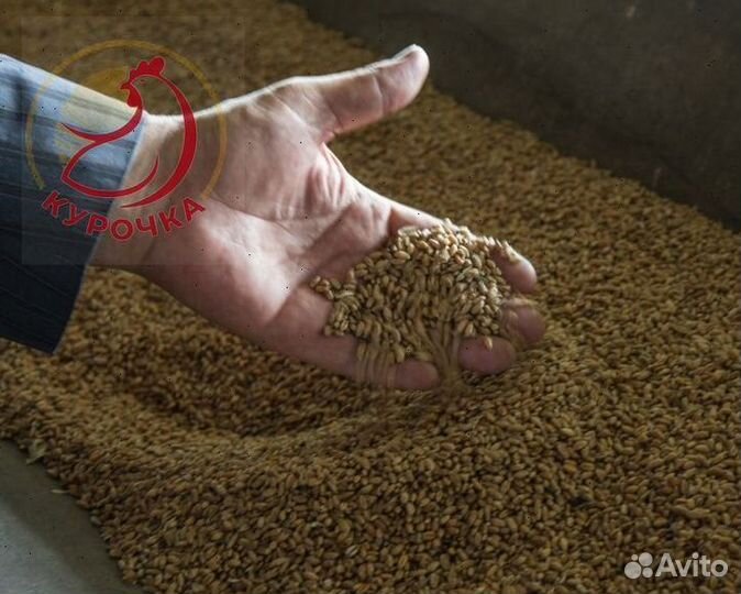 Овес в мешках