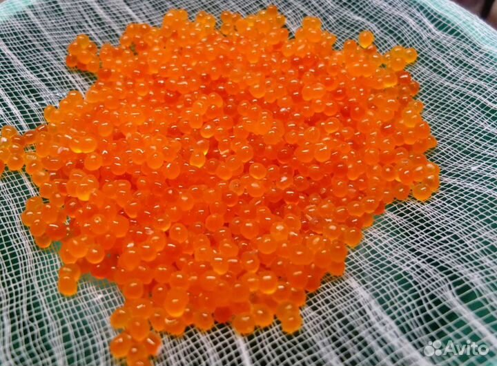 Красная икра (форелевая), в ястыках