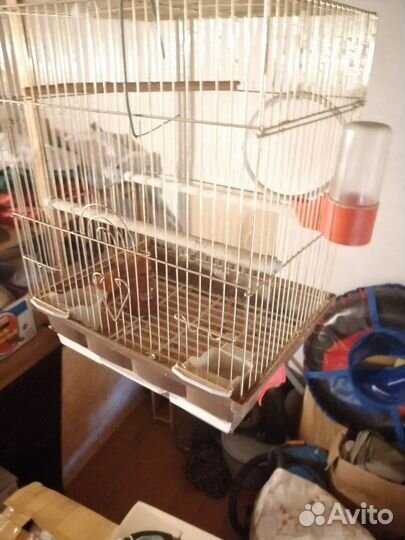 Клетка для волнистого попугая