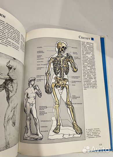 Книга Основы Рисунка