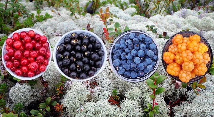 Варенье из свежих ягод