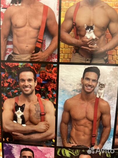 Оригинал пленер Горячие австралийские пожарные