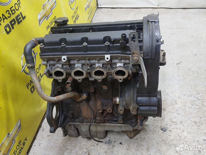Двигатель Chevrolet Rezzo 1.6 A16DMS