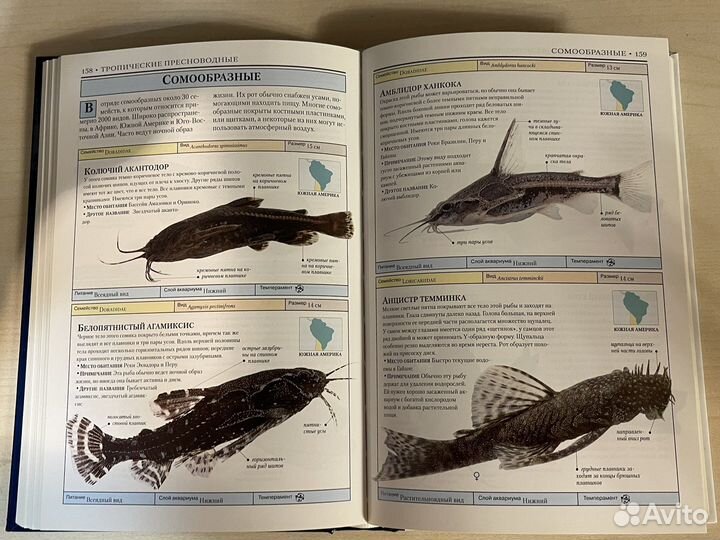 Аквариумные рыбки. Дик Милс. Определитель