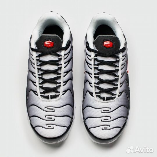 Кроссовки Nike Air Max Plus Tn Grey Black