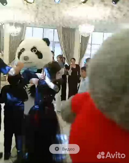 Поздравление панда, белый медведь, белый мишка
