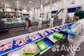 Вахта Белгород Рабочий фабрики 45/60 питание/жилье