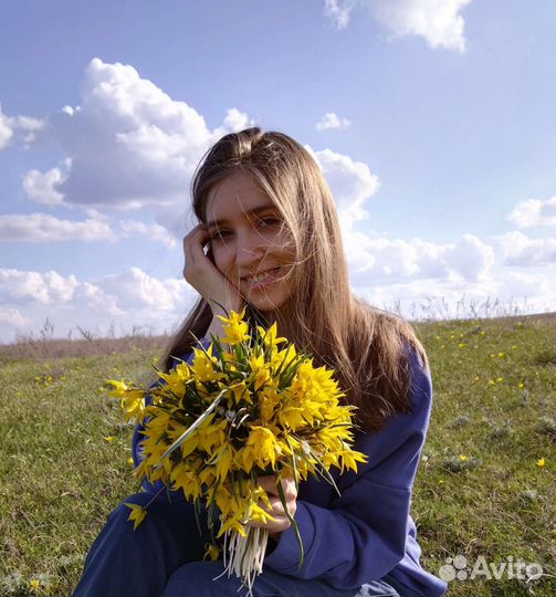 Репетитор огэ/егэ(База) по математике 7-9 класс